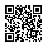 P160-333KS QRCode