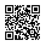 P4-38R-T QRCode