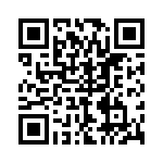 P4KE10A QRCode