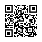 P4KE16 QRCode