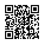 P4KE20-B QRCode