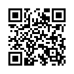 P4KE51CHE3-73 QRCode