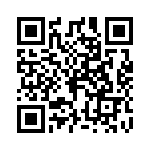 P4KE550-B QRCode