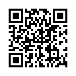 P4KE91 QRCode