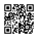 P4KE91CAHA0G QRCode