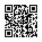 P4KE91CAHB0G QRCode