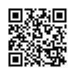 P6KE10C QRCode