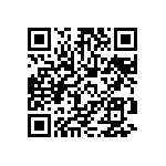 PATT0402E4991BGT1 QRCode