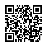 PPT0300GRR5VA QRCode