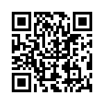 PT06P20-39PW QRCode