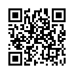 PT4507A QRCode