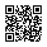 RBC19DRTS-S93 QRCode