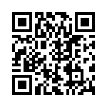 RER45F1951RC02 QRCode