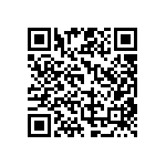 RG1005P-111-B-T1 QRCode