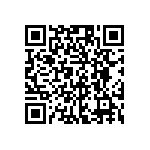 RG1005P-913-C-T10 QRCode