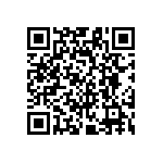 RG1608N-1963-D-T5 QRCode