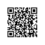 RG1608N-391-W-T5 QRCode