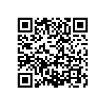 RG1608P-9531-B-T1 QRCode