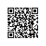 RG2012P-104-B-T1 QRCode