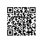 RG2012P-333-B-T5 QRCode