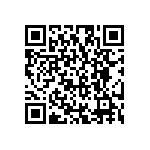 RG2012V-161-P-T1 QRCode