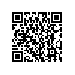 RG2012V-511-B-T1 QRCode