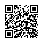 RJ13B501 QRCode