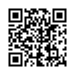 RJ13P105 QRCode