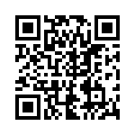 RJ13P202 QRCode