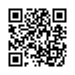 RJHSE538304 QRCode