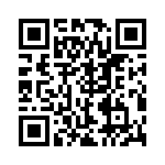 RJHSE538T02 QRCode