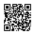 RJLSE4008101T QRCode