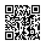 RN55E1381BRSL QRCode