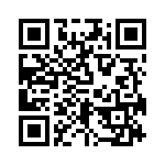 RN65E1333BRSL QRCode