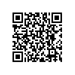 RNC55H1041DSBSL QRCode