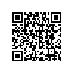 RNC55H1132BSB14 QRCode