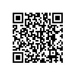 RNC55H1153DSBSL QRCode