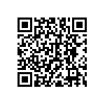 RNC55H1381BSRE6 QRCode