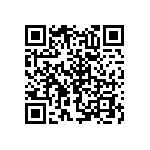 RNC55H1383BSR36 QRCode