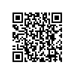 RNC55H13R3BSB14 QRCode