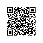 RNC55H1651BSBSL QRCode