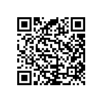 RNC55H1653BSB14 QRCode