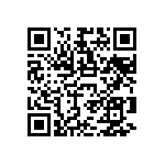 RNC55H1653DSRSL QRCode