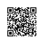 RNC55H1691BRRSL QRCode