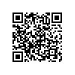 RNC55H2132BSBSL QRCode