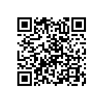 RNC55H3090FSBSL QRCode