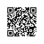 RNC55H3093DSBSL QRCode