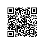 RNC55H3360BSBSL QRCode