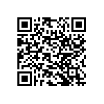 RNC55H3743FSBSL QRCode