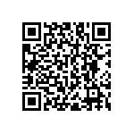 RNC55H5621BSBSL QRCode